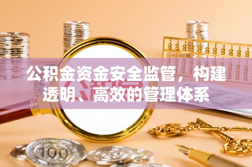 新沂公积金资金安全监管，构建透明、高效的管理体系