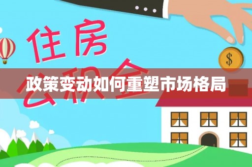 新沂政策变动如何重塑市场格局
