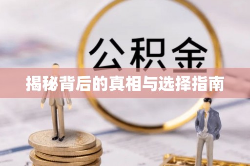 新沂揭秘背后的真相与选择指南