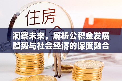新沂洞察未来，解析公积金发展趋势与社会经济的深度融合