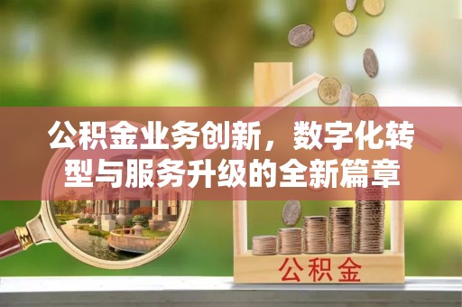 新沂公积金业务创新，数字化转型与服务升级的全新篇章