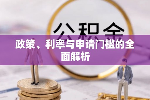 新沂政策、利率与申请门槛的全面解析