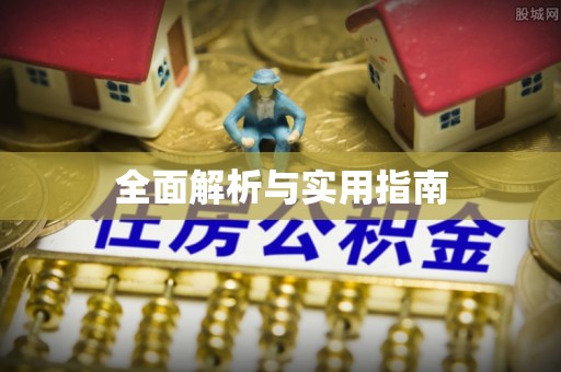 新沂全面解析与实用指南